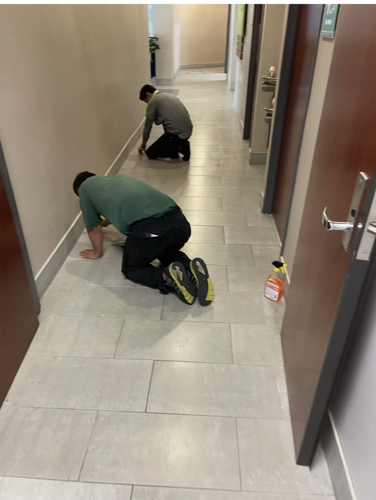 GFM Building Services team and commercial cleaning work